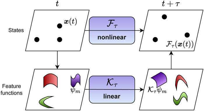 FKMD diagram